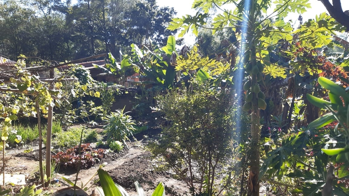 Sítio, 3 quartos, 500 m² - Foto 8