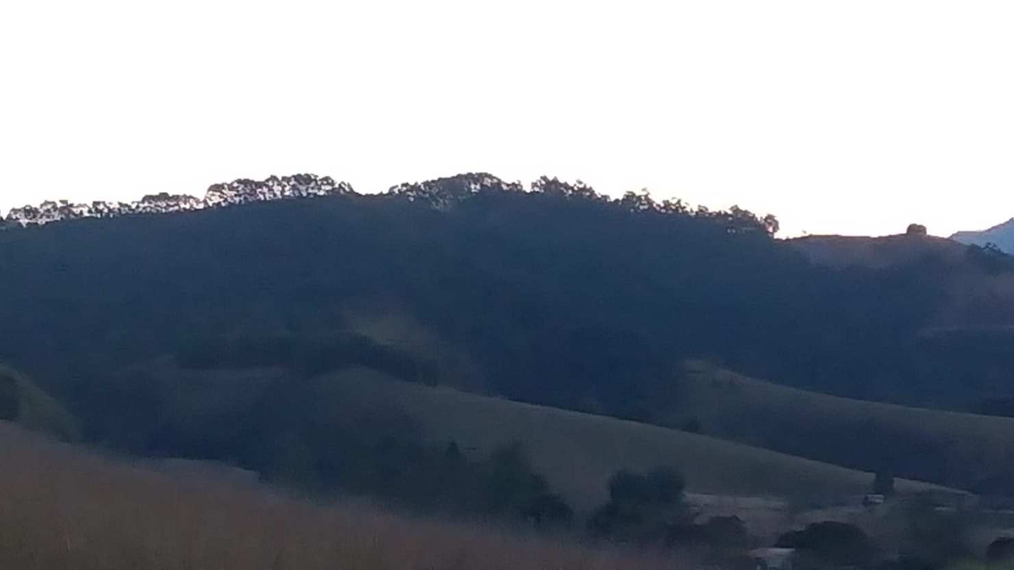 Terreno, 2 hectares - Foto 11