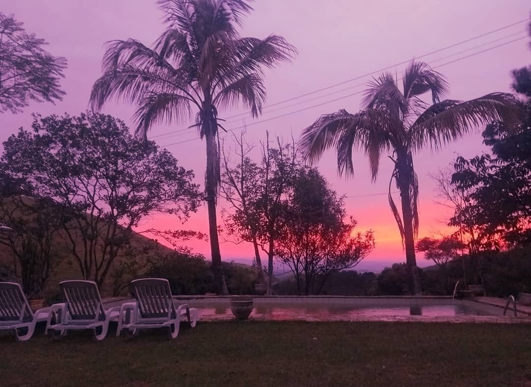 Fazenda, 201 hectares - Foto 5