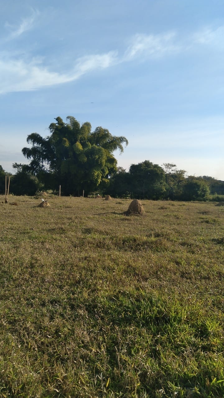 Terreno, 4774 m² - Foto 2