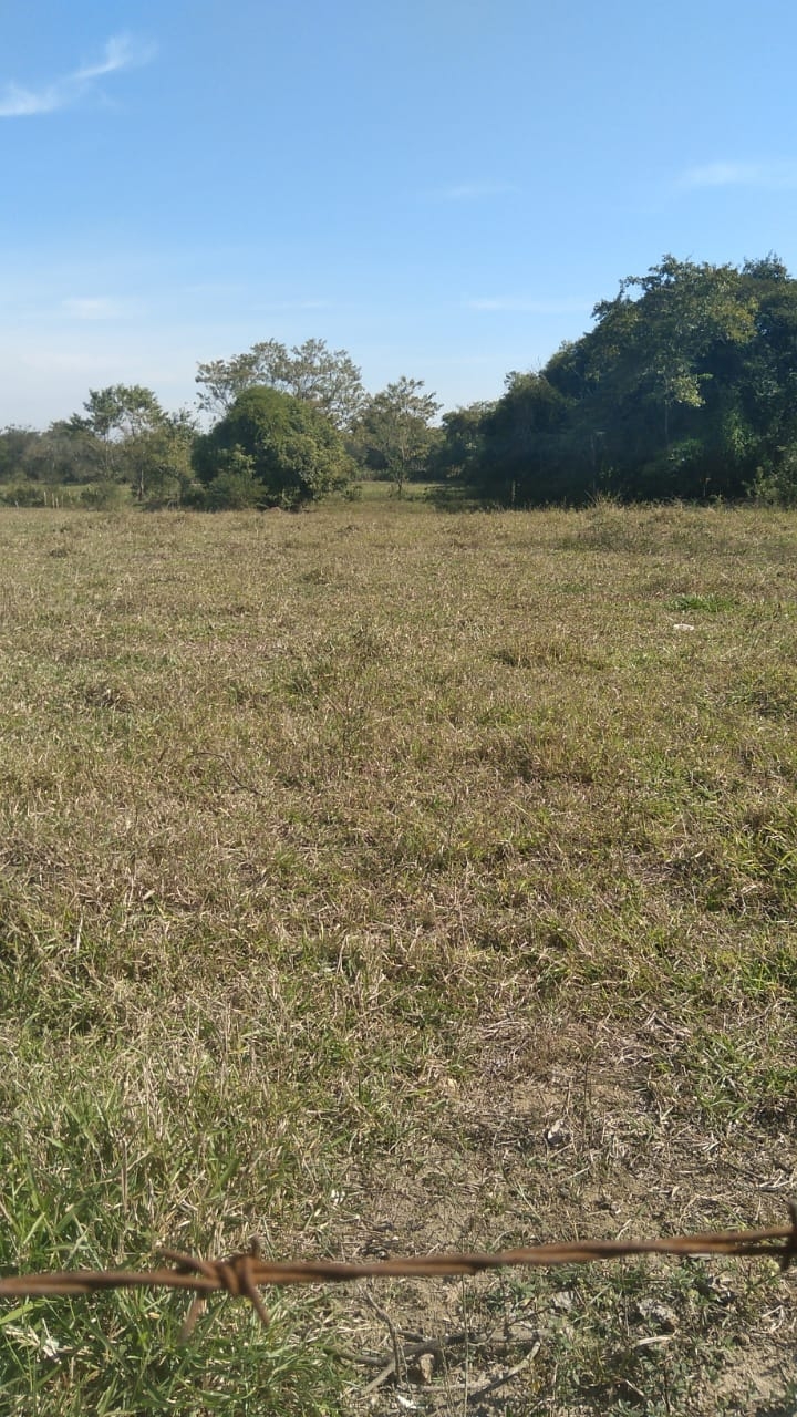 Terreno, 4774 m² - Foto 3