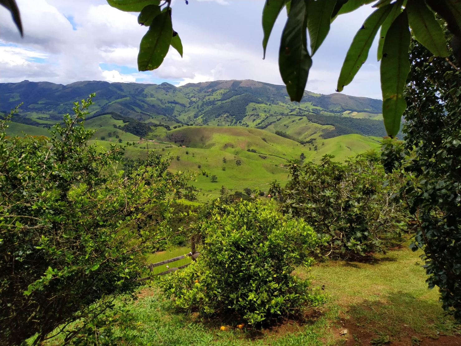 Sítio, 3 quartos, 12 hectares - Foto 6