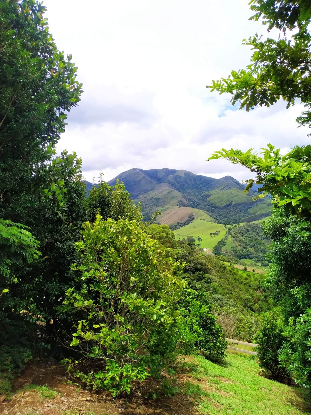 Sítio, 3 quartos, 12 hectares - Foto 8