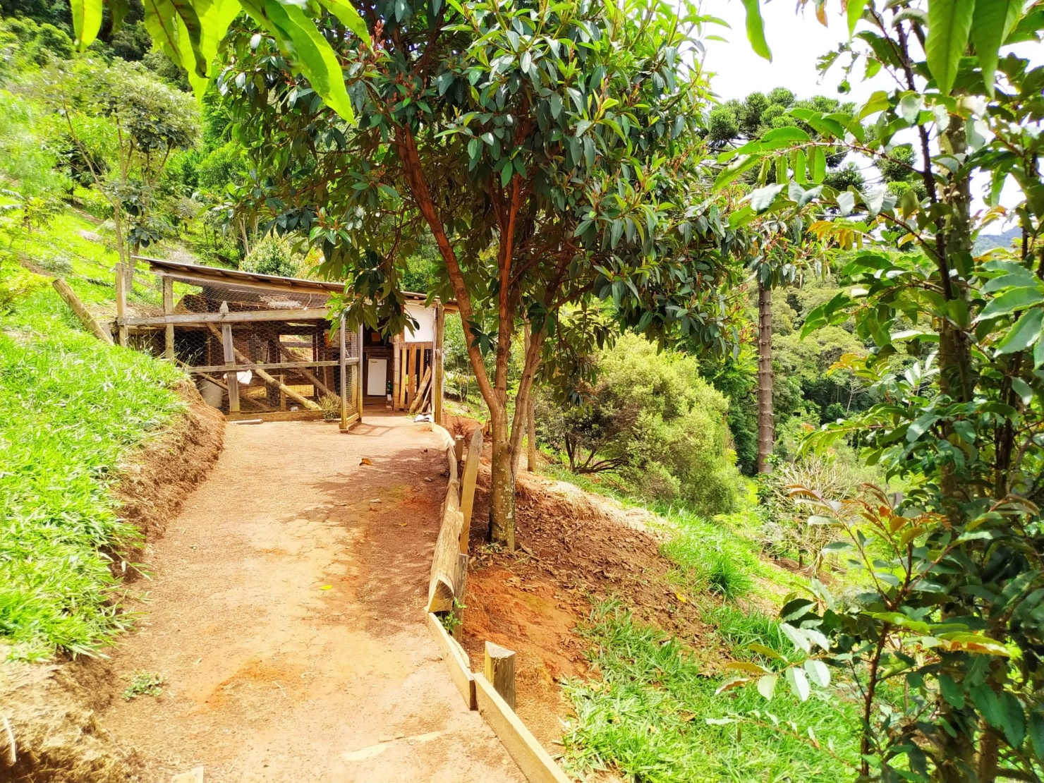 Sítio, 3 quartos, 12 hectares - Foto 9