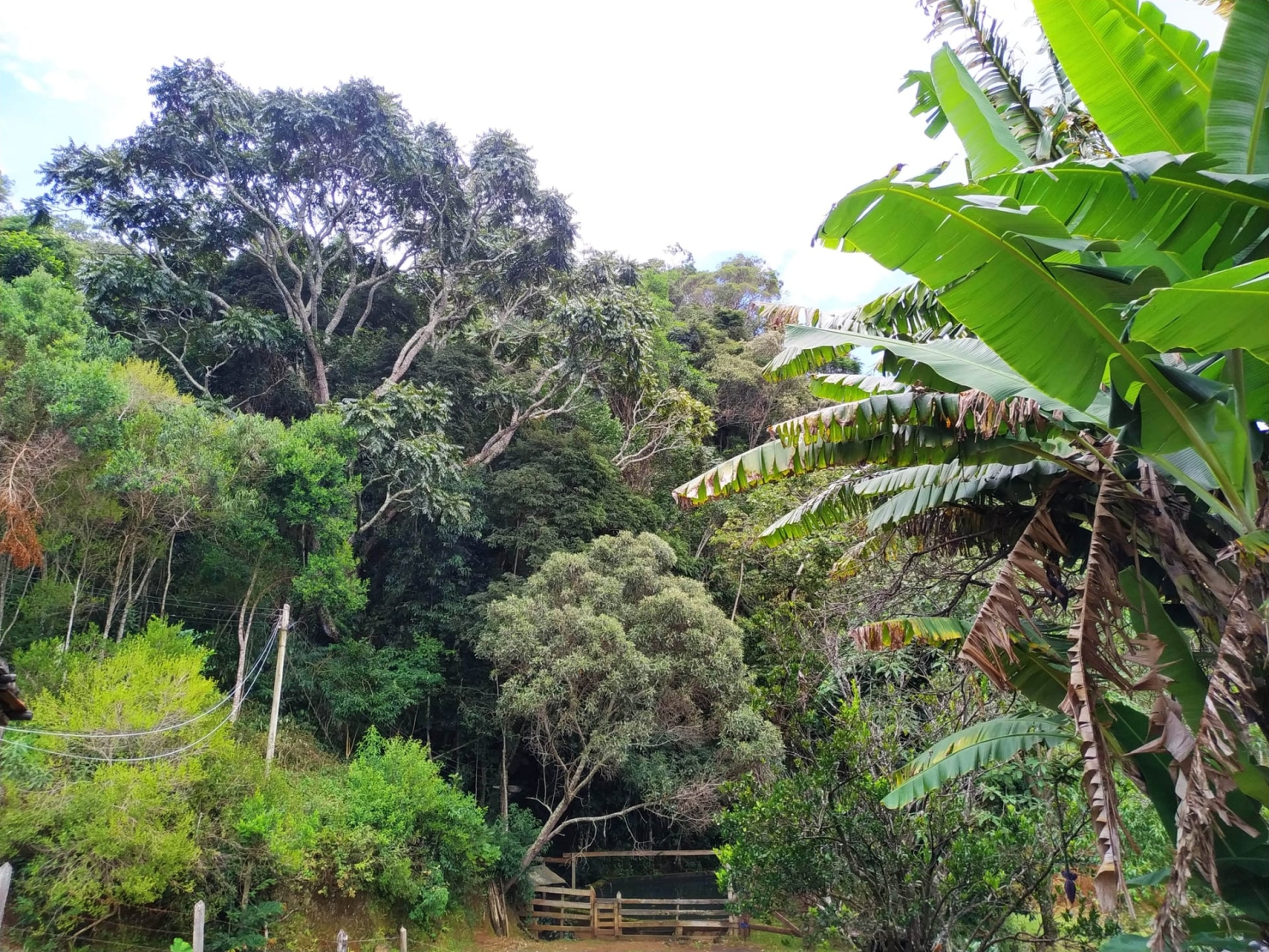 Sítio, 3 quartos, 12 hectares - Foto 10