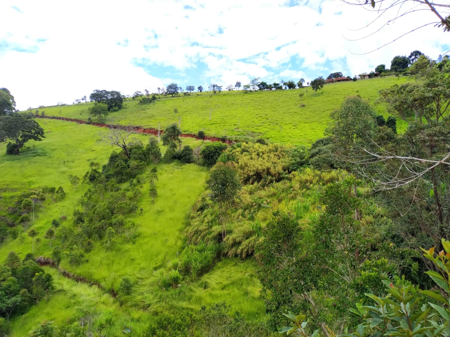 Sítio, 3 quartos, 12 hectares - Foto 11