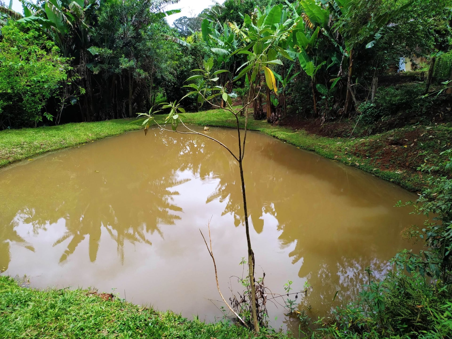 Sítio, 3 quartos, 12 hectares - Foto 12