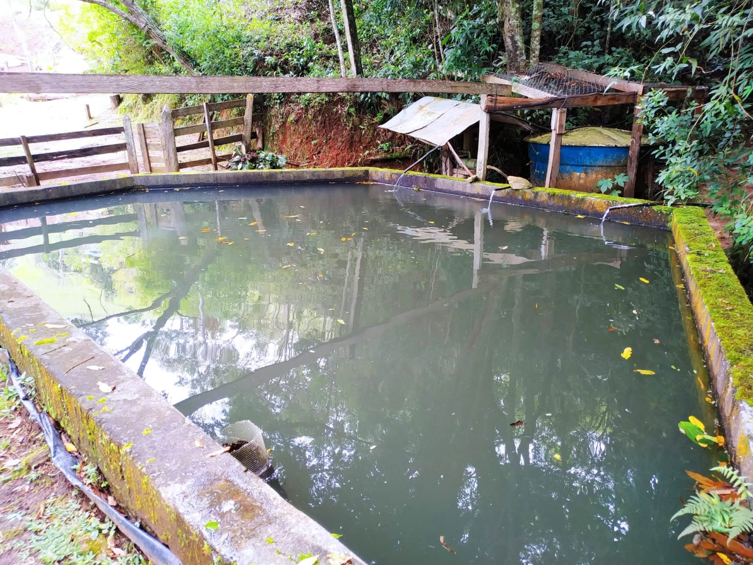 Sítio, 3 quartos, 12 hectares - Foto 14