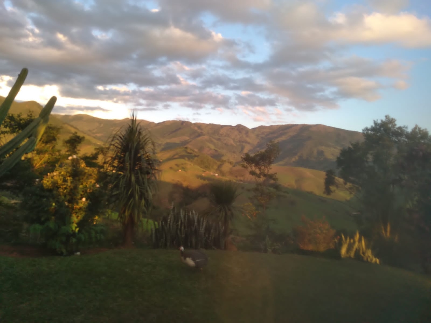 Sítio, 3 quartos, 12 hectares - Foto 22