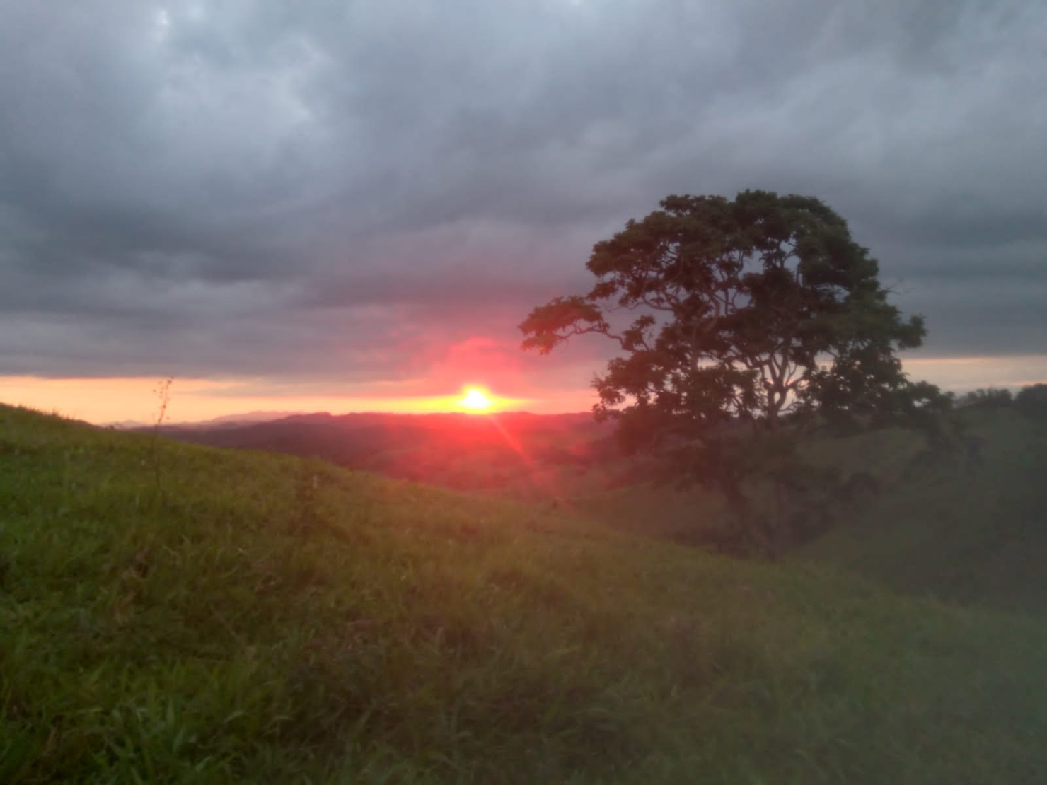 Sítio, 3 quartos, 12 hectares - Foto 25