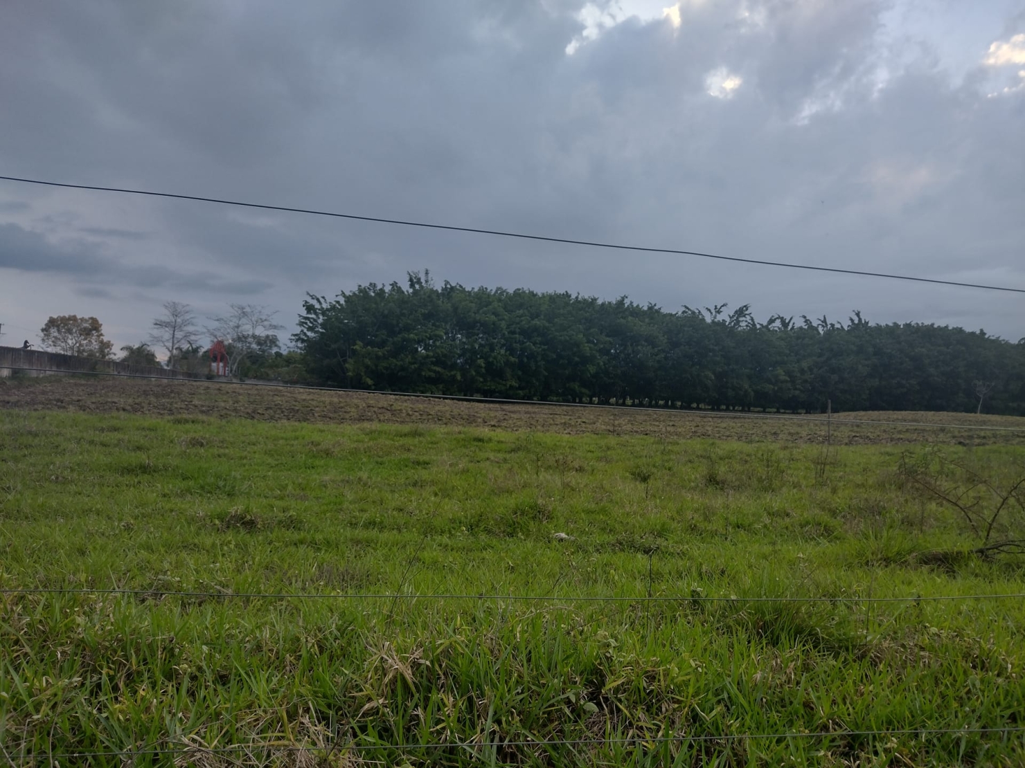 Terreno, 1000 m² - Foto 1