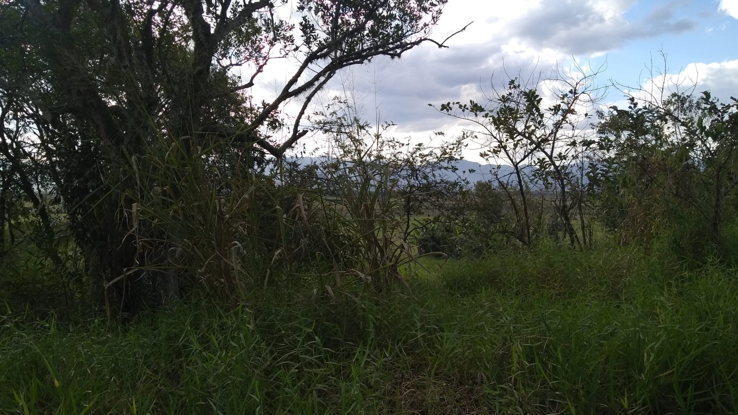 Terreno, 6675 m² - Foto 13