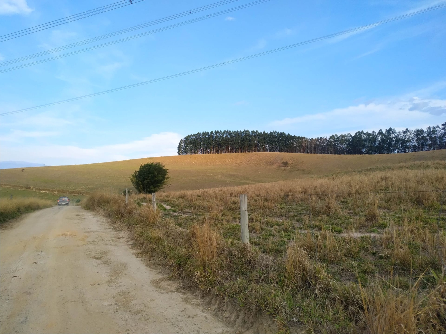Fazenda, 484 hectares - Foto 2