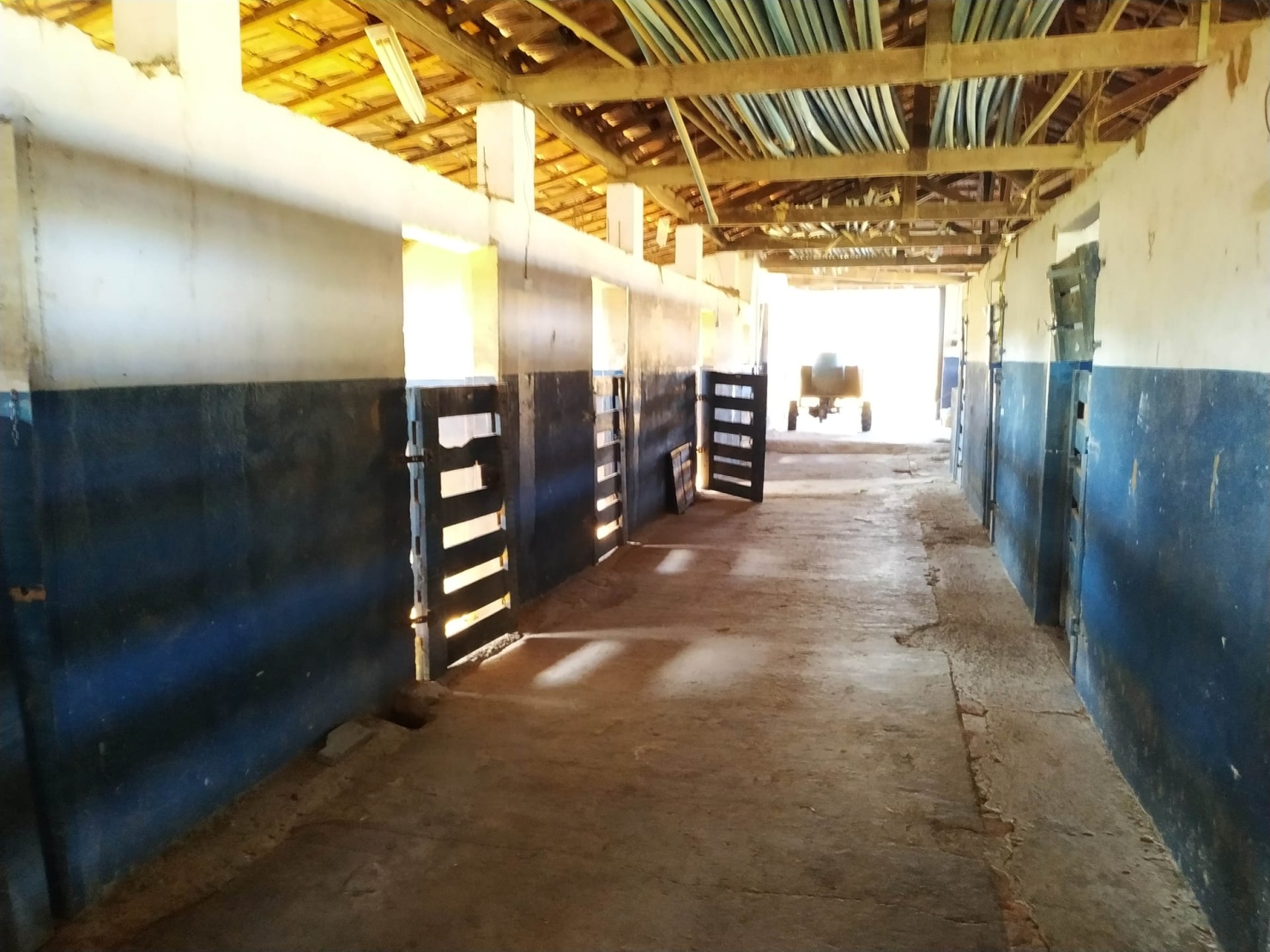 Fazenda, 484 hectares - Foto 6