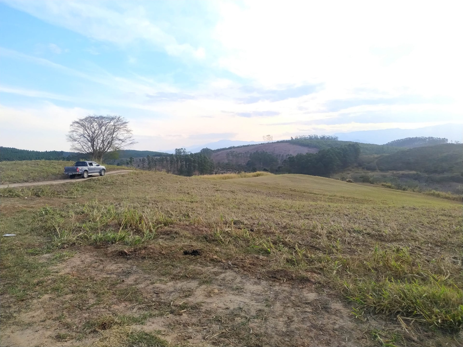 Fazenda, 484 hectares - Foto 10