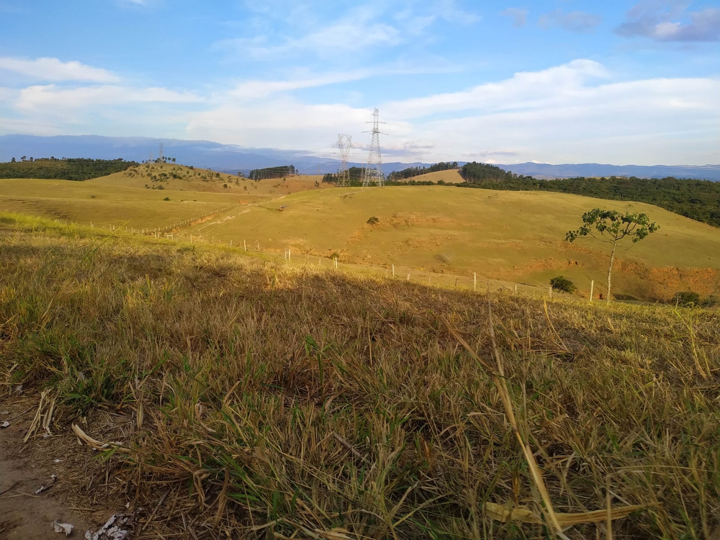 Fazenda, 484 hectares - Foto 11