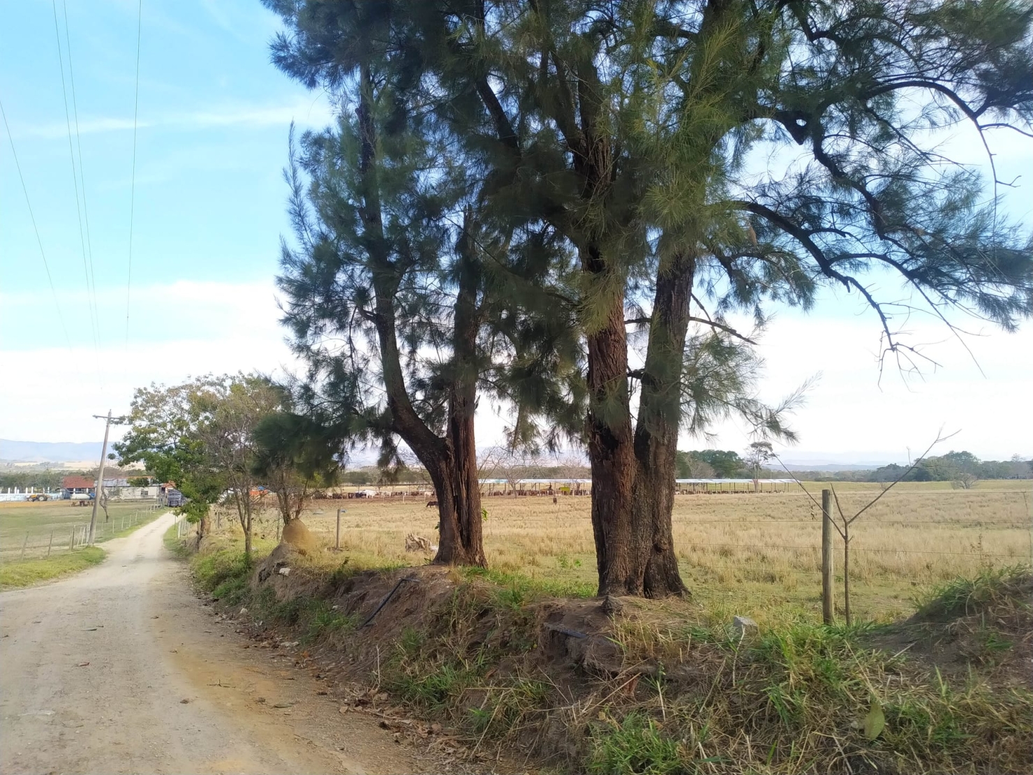 Fazenda, 484 hectares - Foto 15