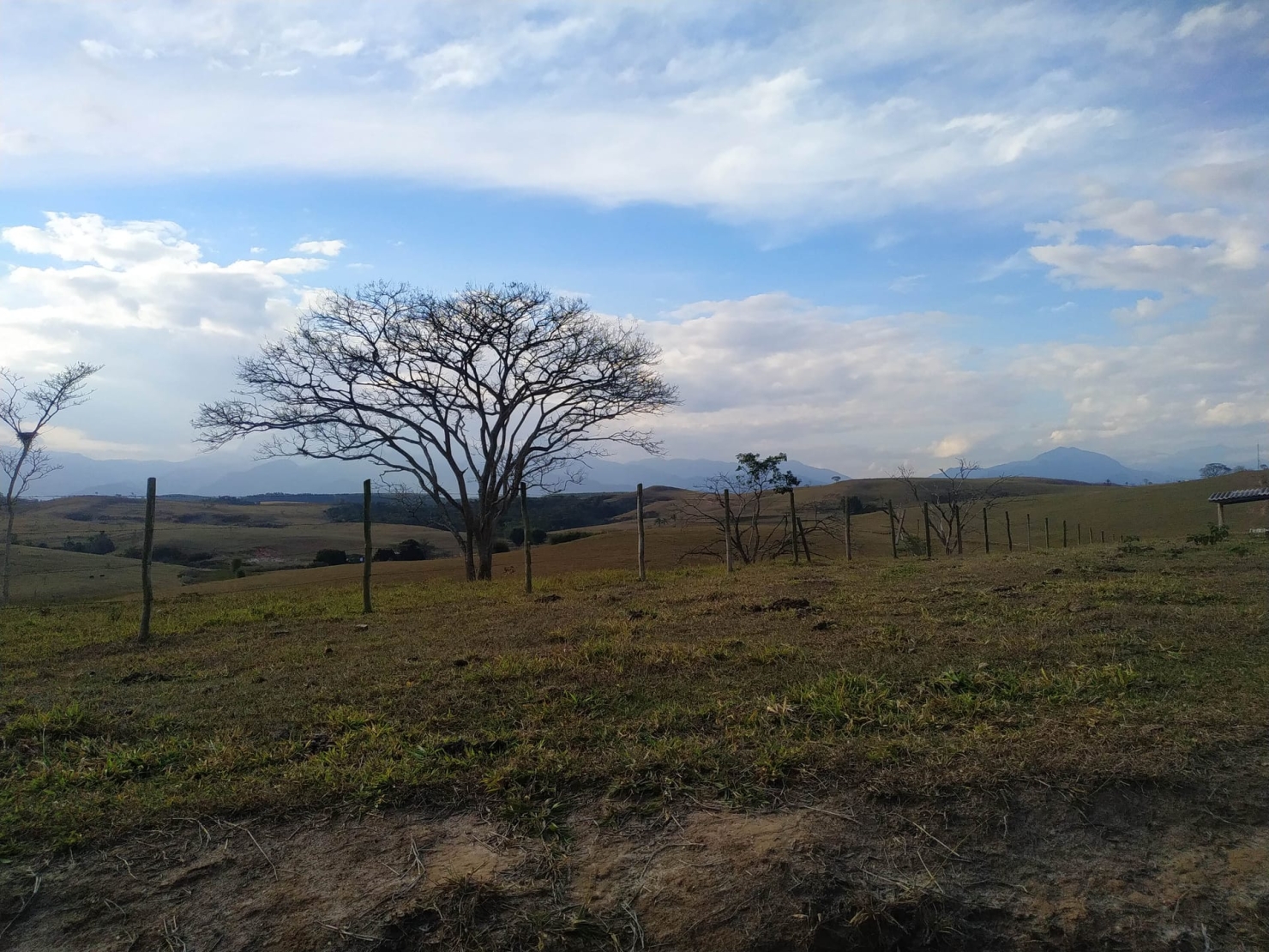 Fazenda, 484 hectares - Foto 16