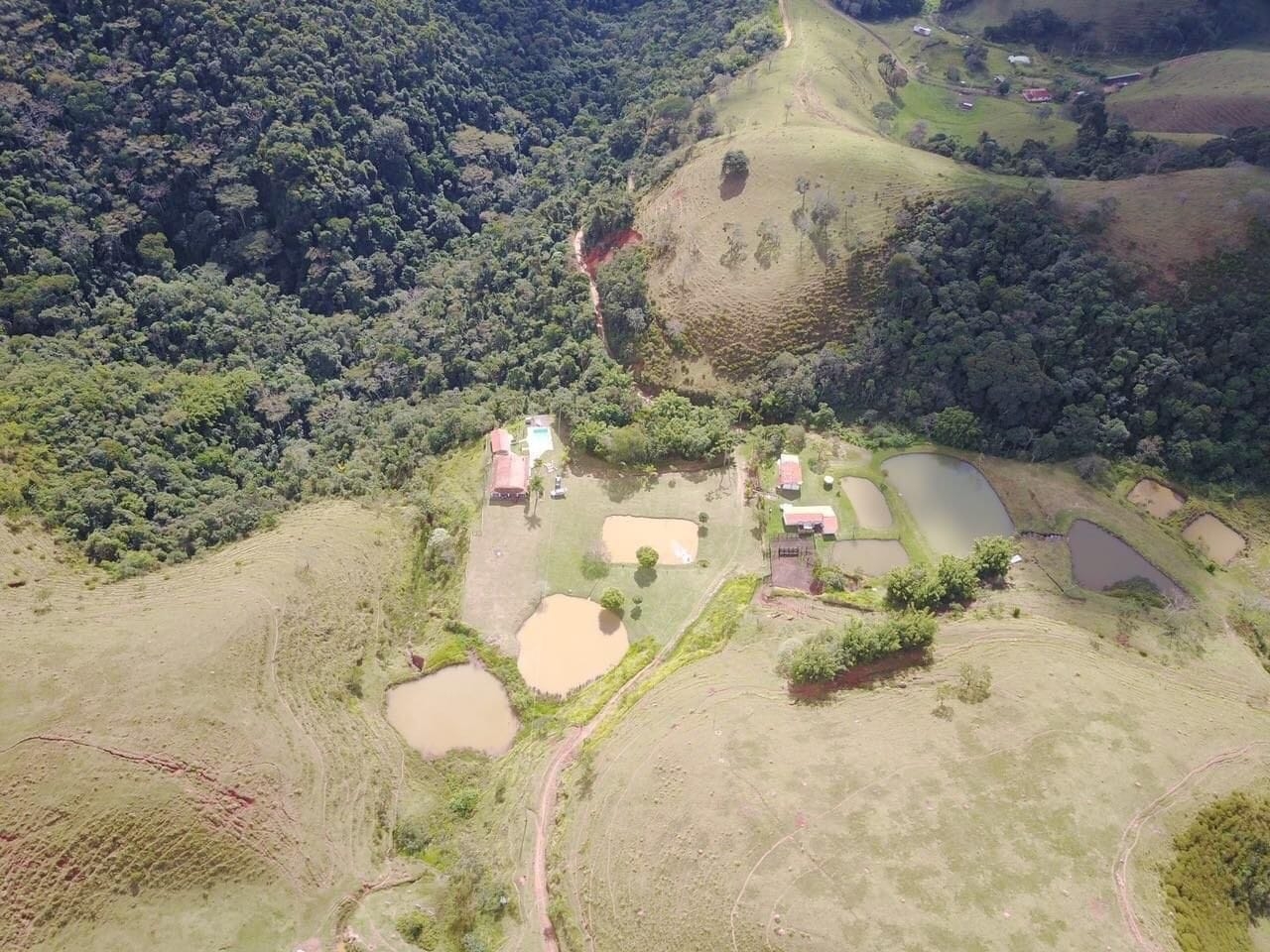Fazenda, 242 hectares - Foto 3