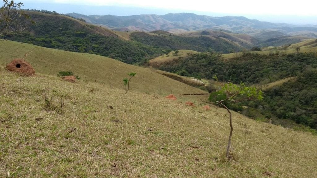 Fazenda, 100 m² - Foto 13