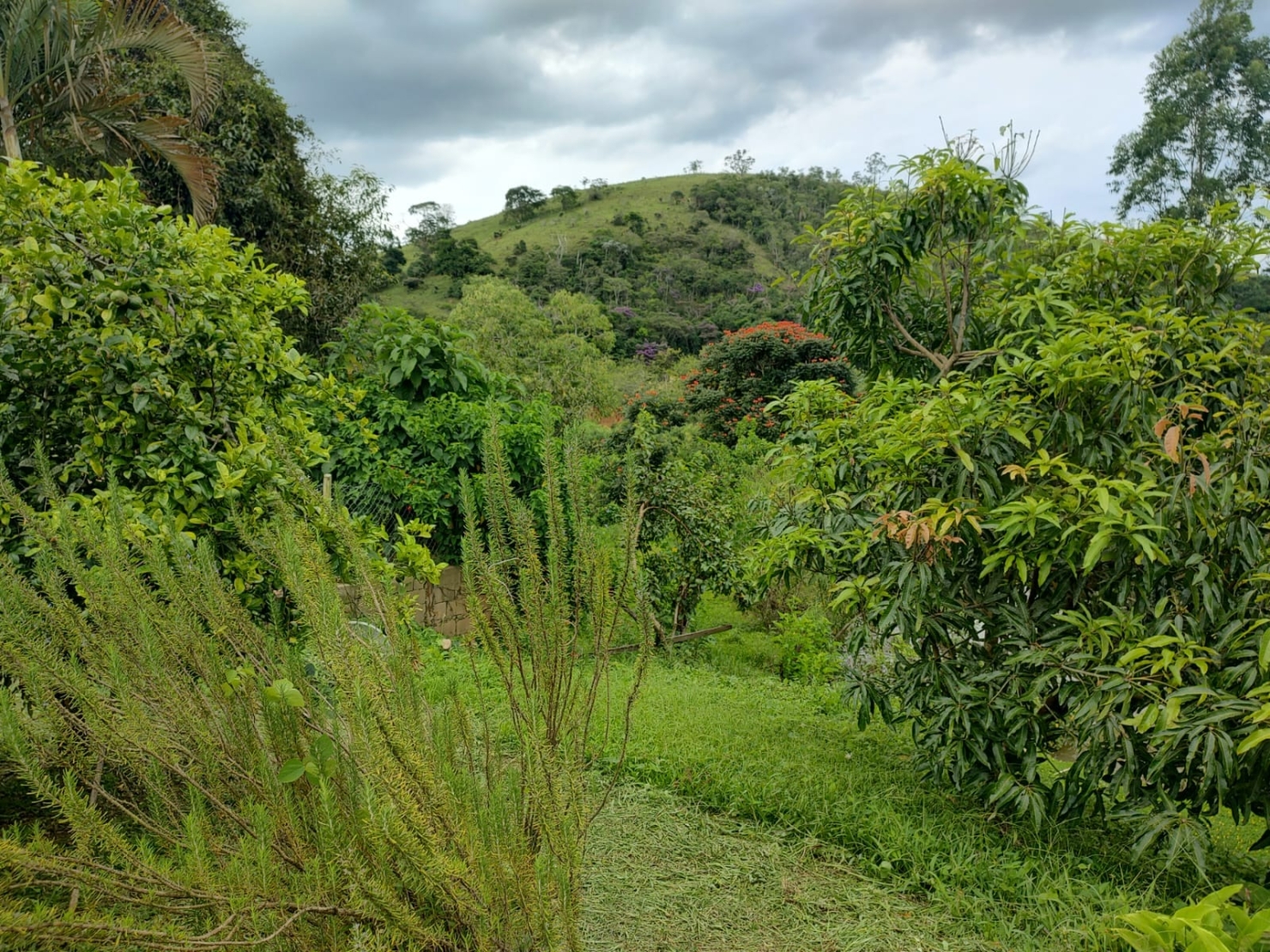 Chácara, 3 quartos, 2 hectares - Foto 1