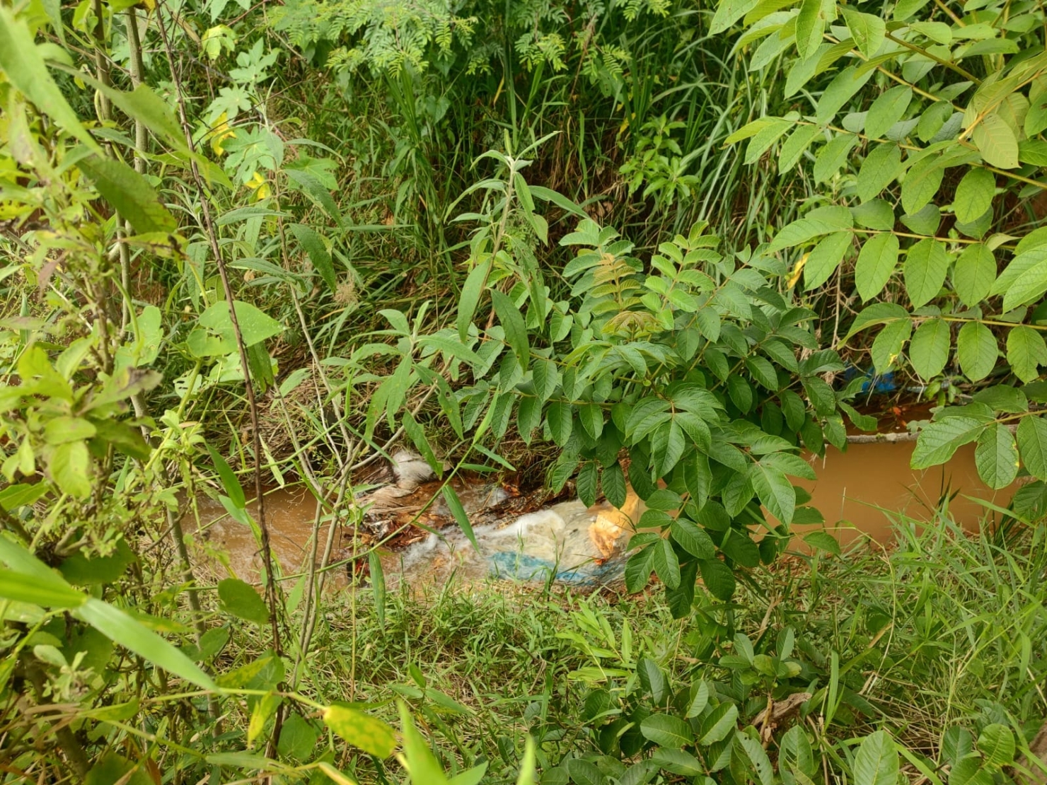 Chácara, 3 quartos, 2 hectares - Foto 4