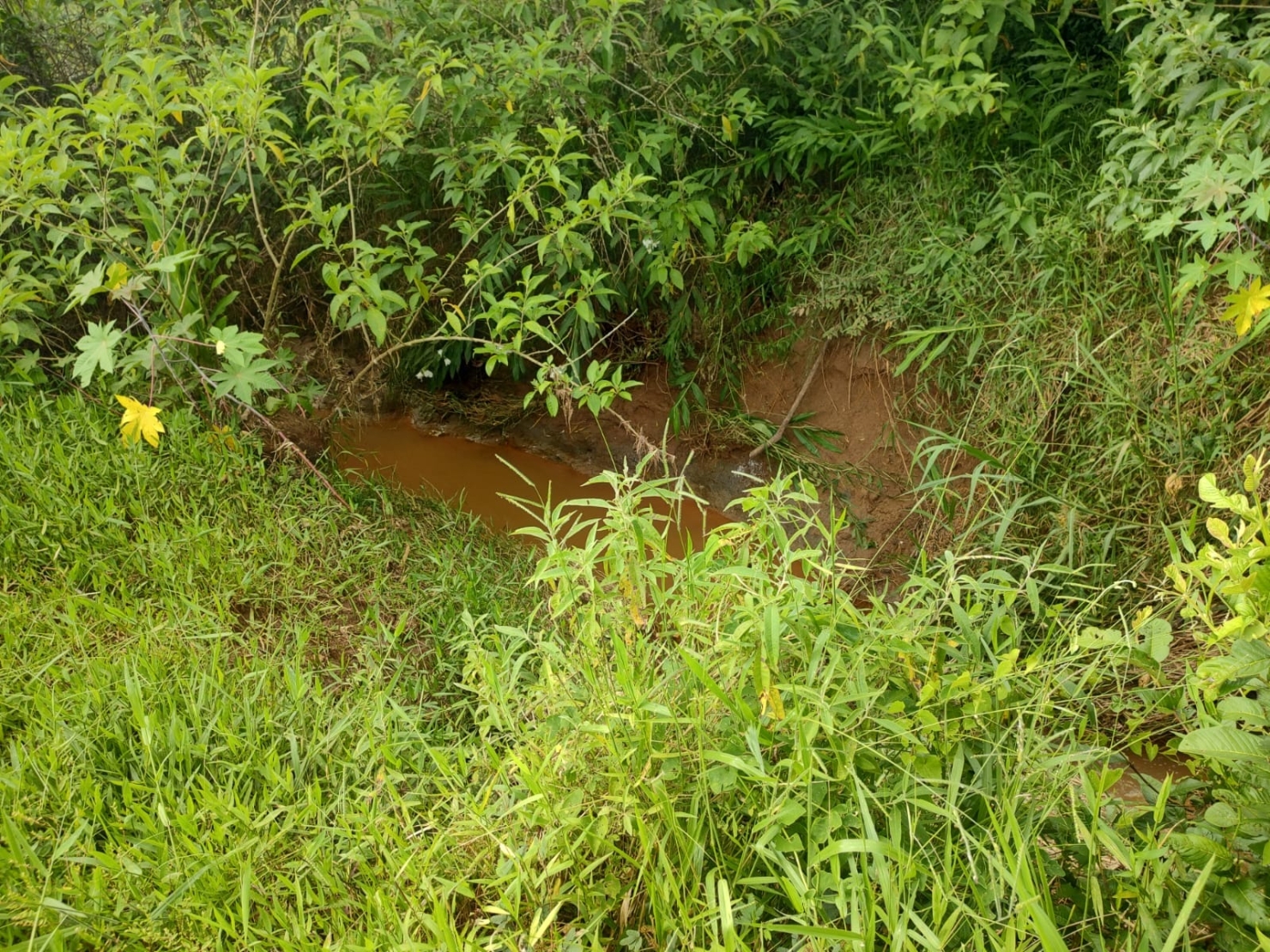 Chácara, 3 quartos, 2 hectares - Foto 7