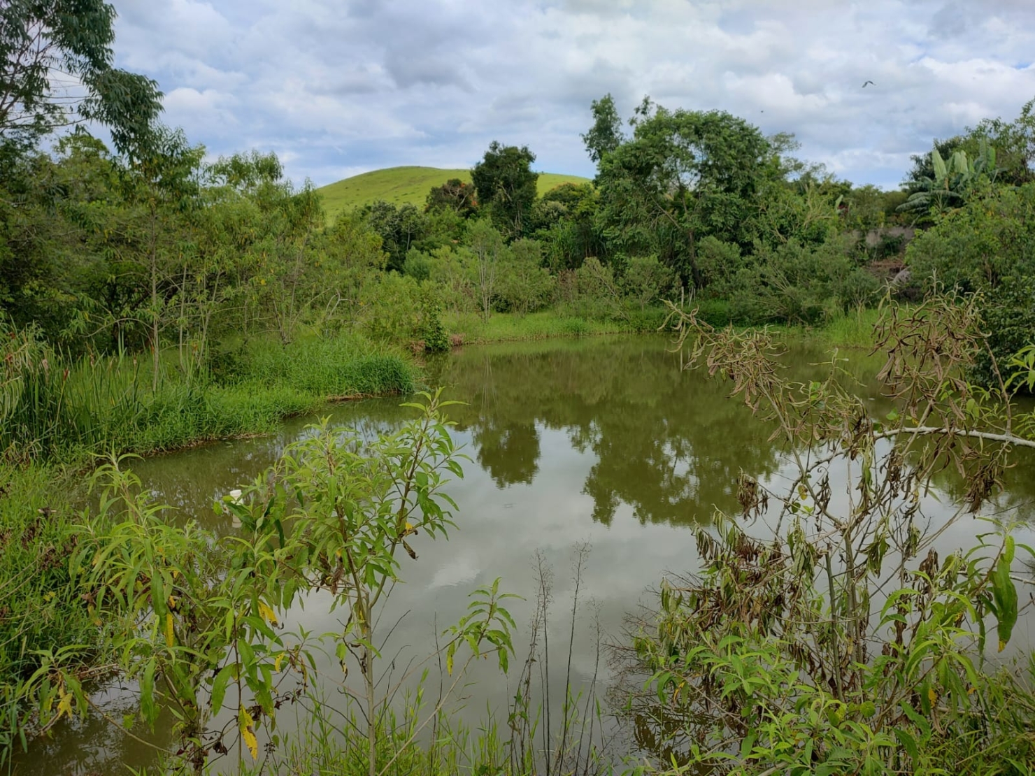 Chácara, 3 quartos, 2 hectares - Foto 9