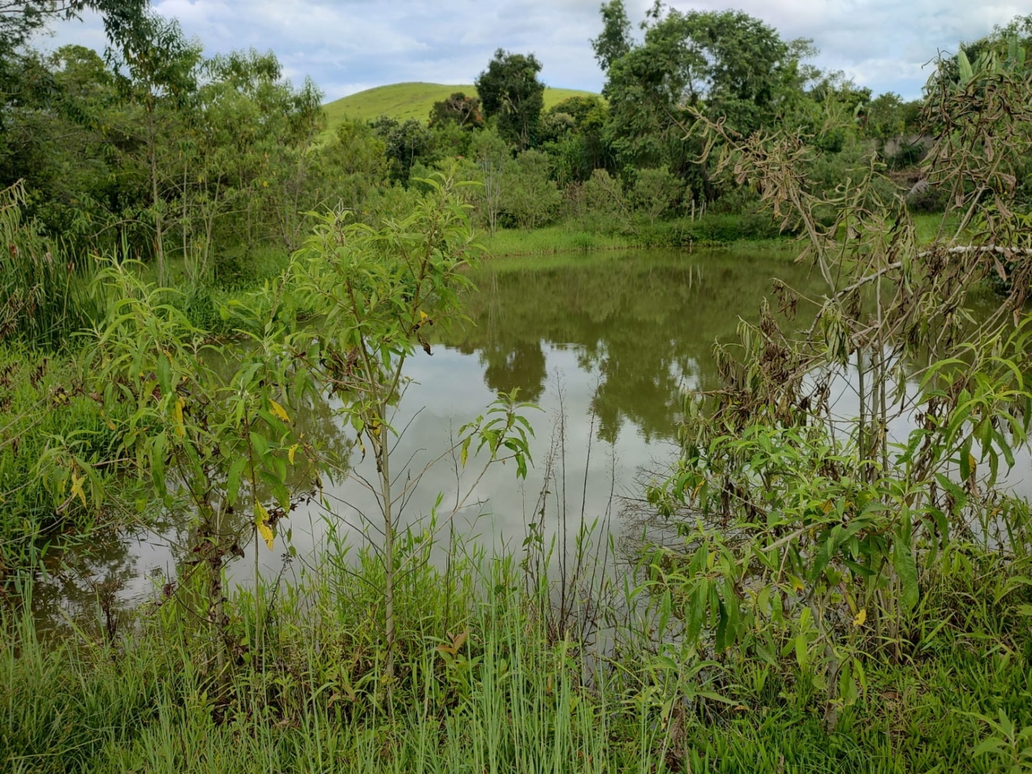 Chácara, 3 quartos, 2 hectares - Foto 10