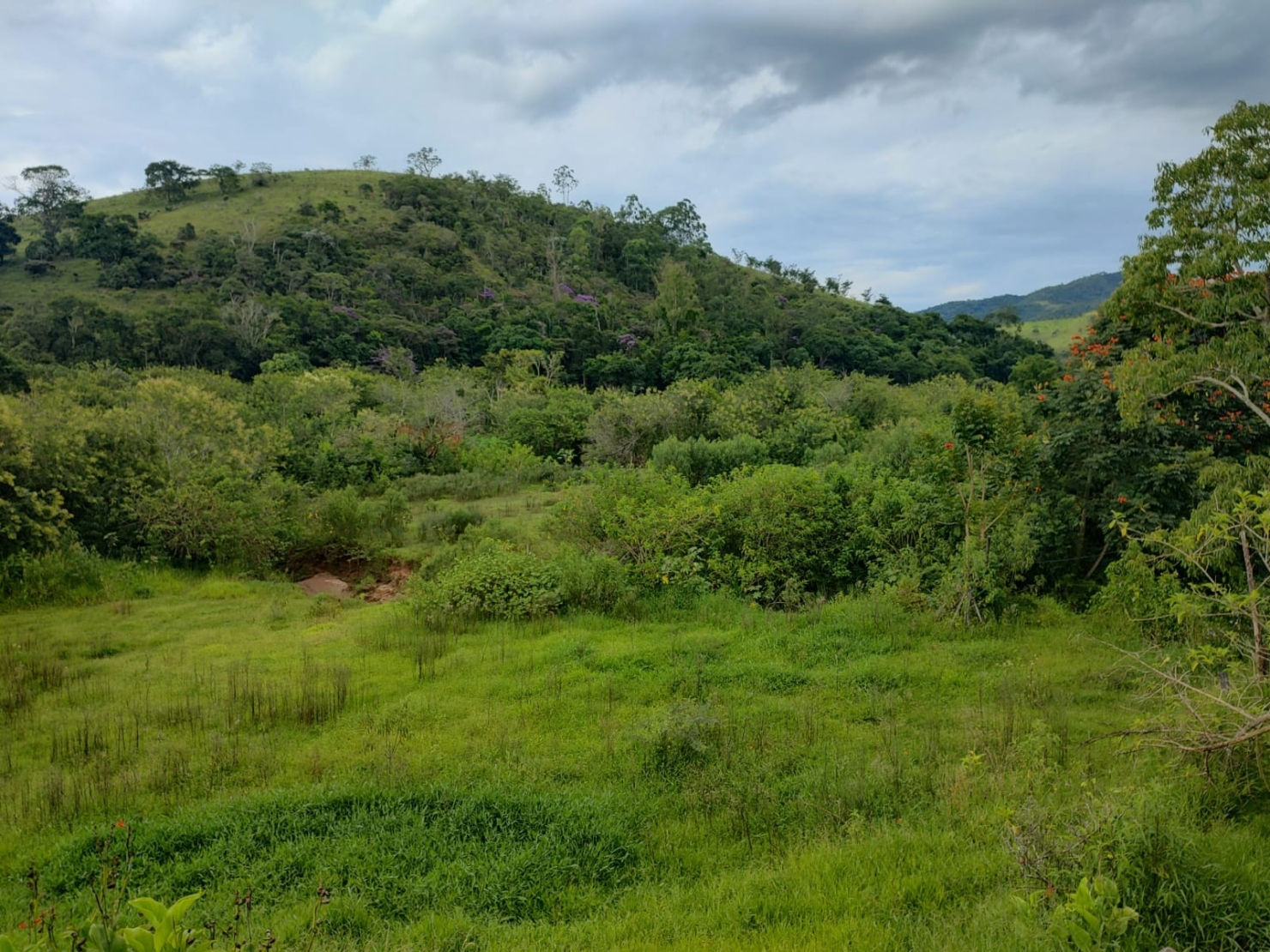 Chácara, 3 quartos, 2 hectares - Foto 11