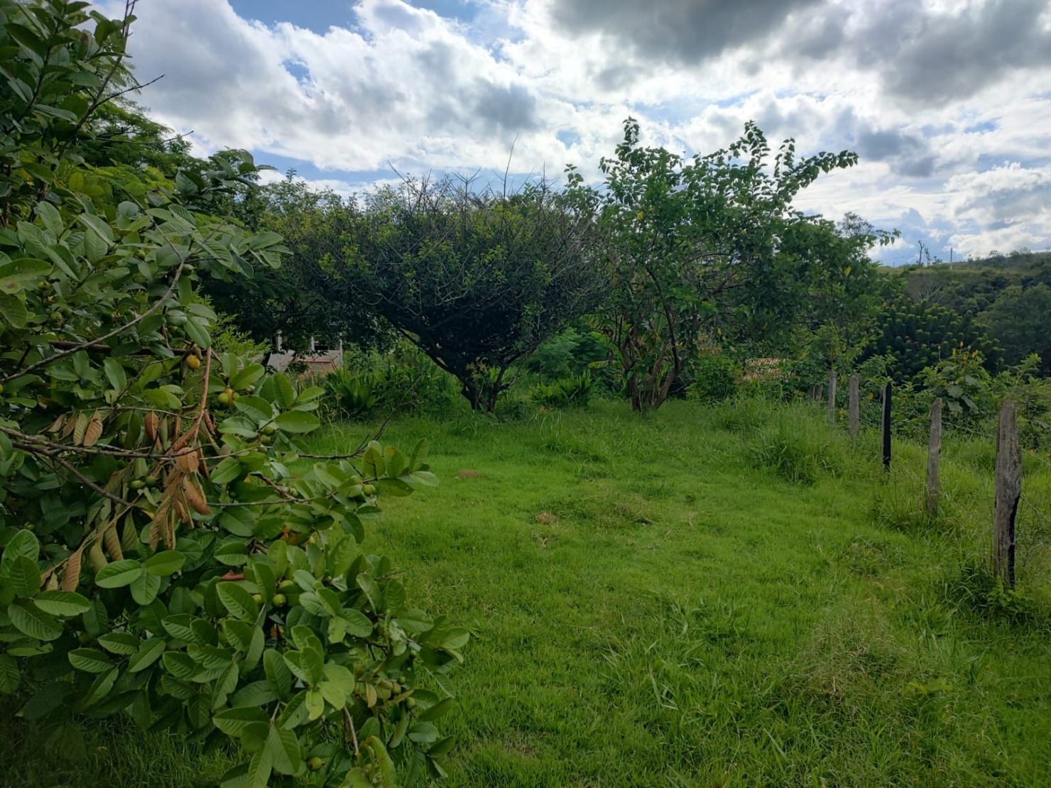 Chácara, 3 quartos, 2 hectares - Foto 12