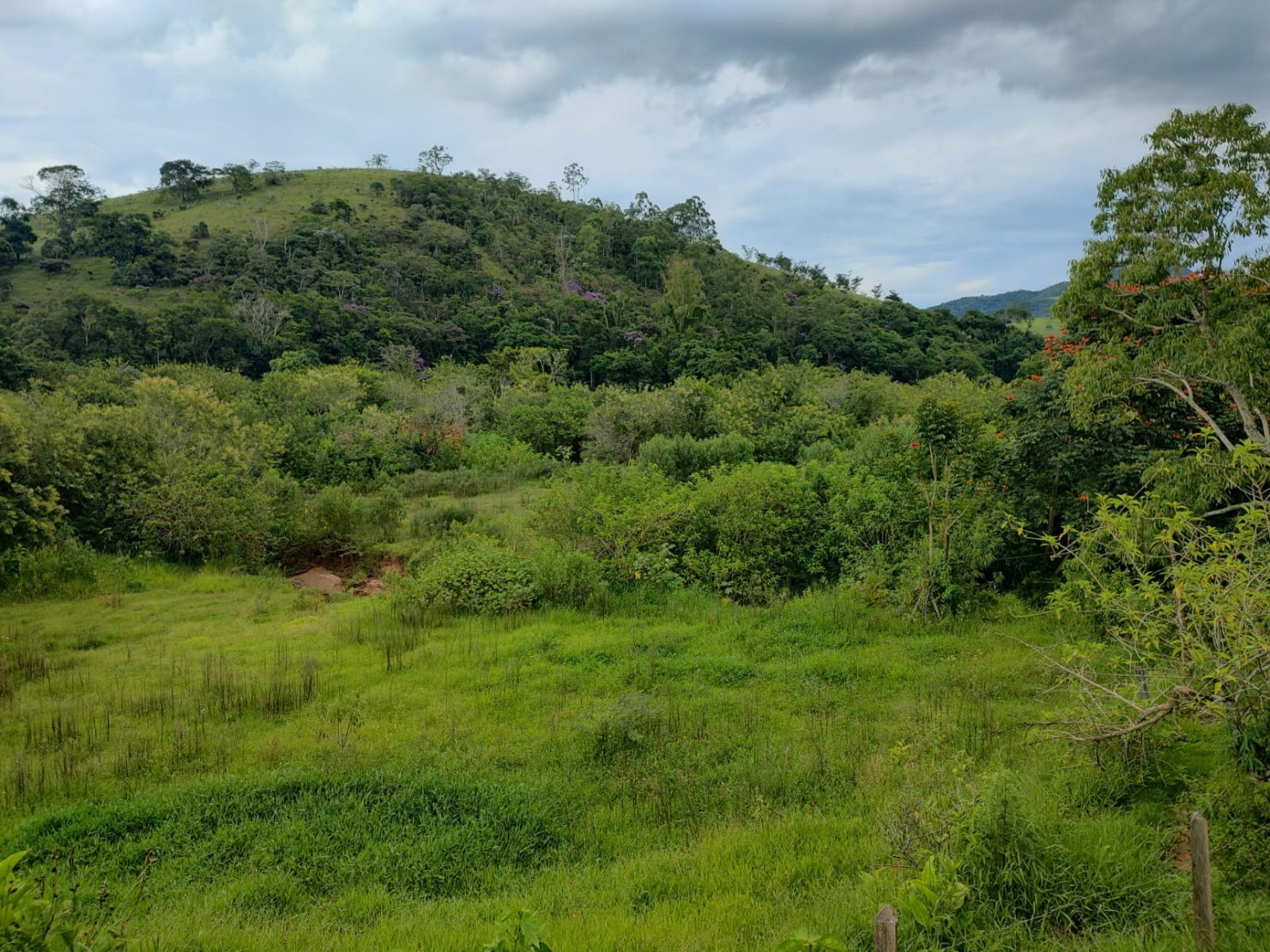 Chácara, 3 quartos, 2 hectares - Foto 13