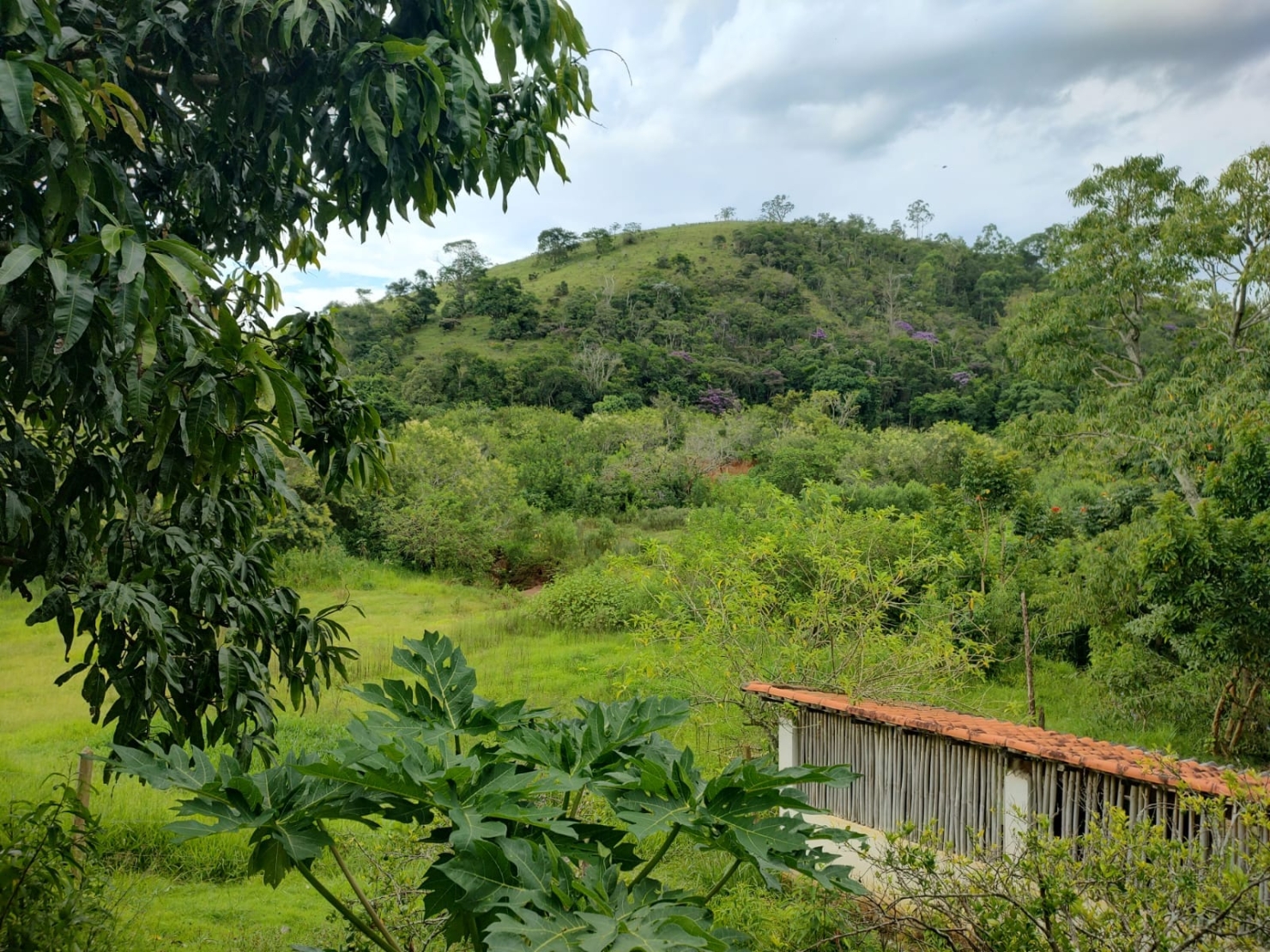 Chácara, 3 quartos, 2 hectares - Foto 18