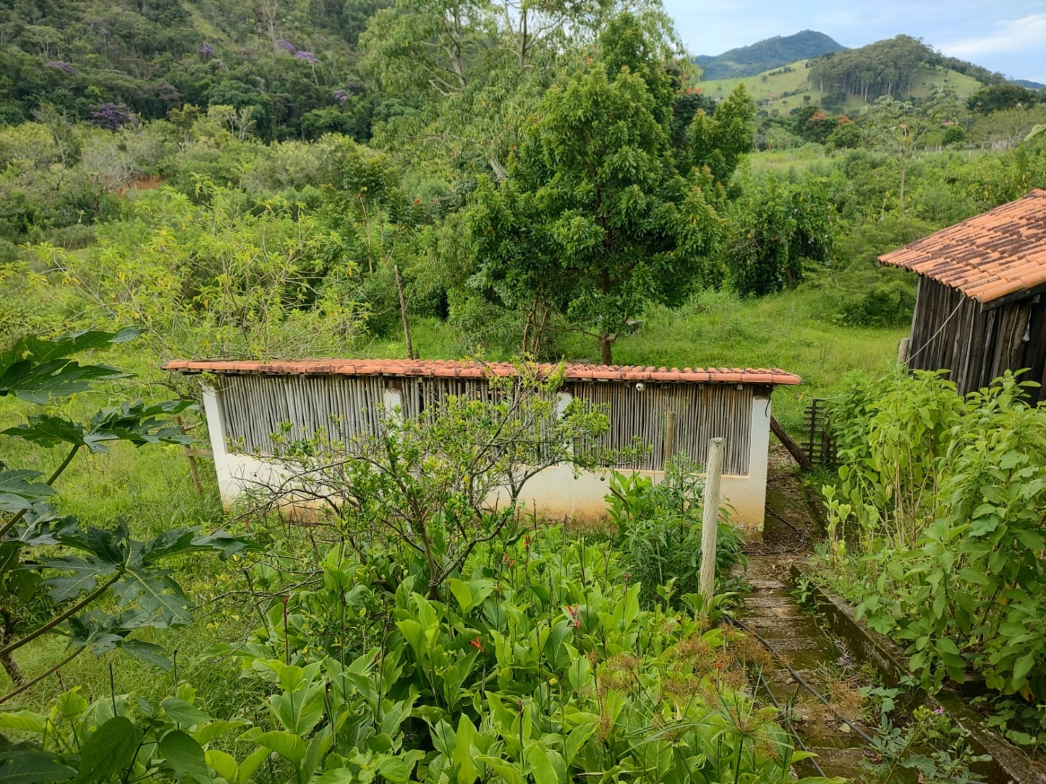 Chácara, 3 quartos, 2 hectares - Foto 19