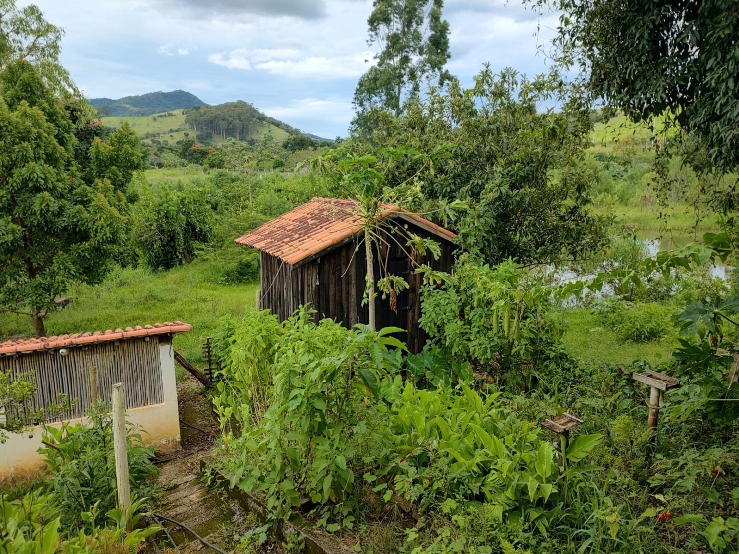 Chácara, 3 quartos, 2 hectares - Foto 24