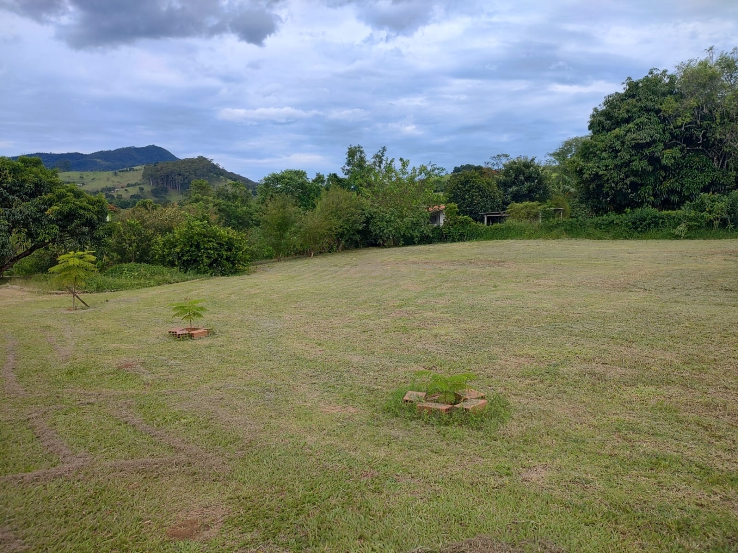 Chácara, 3 quartos, 2 hectares - Foto 31