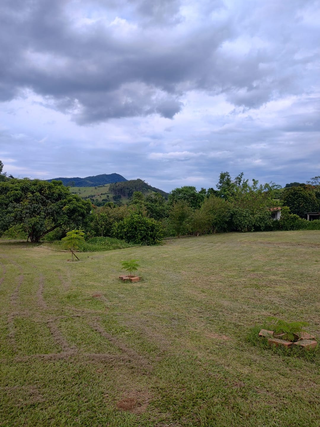 Chácara, 3 quartos, 2 hectares - Foto 32