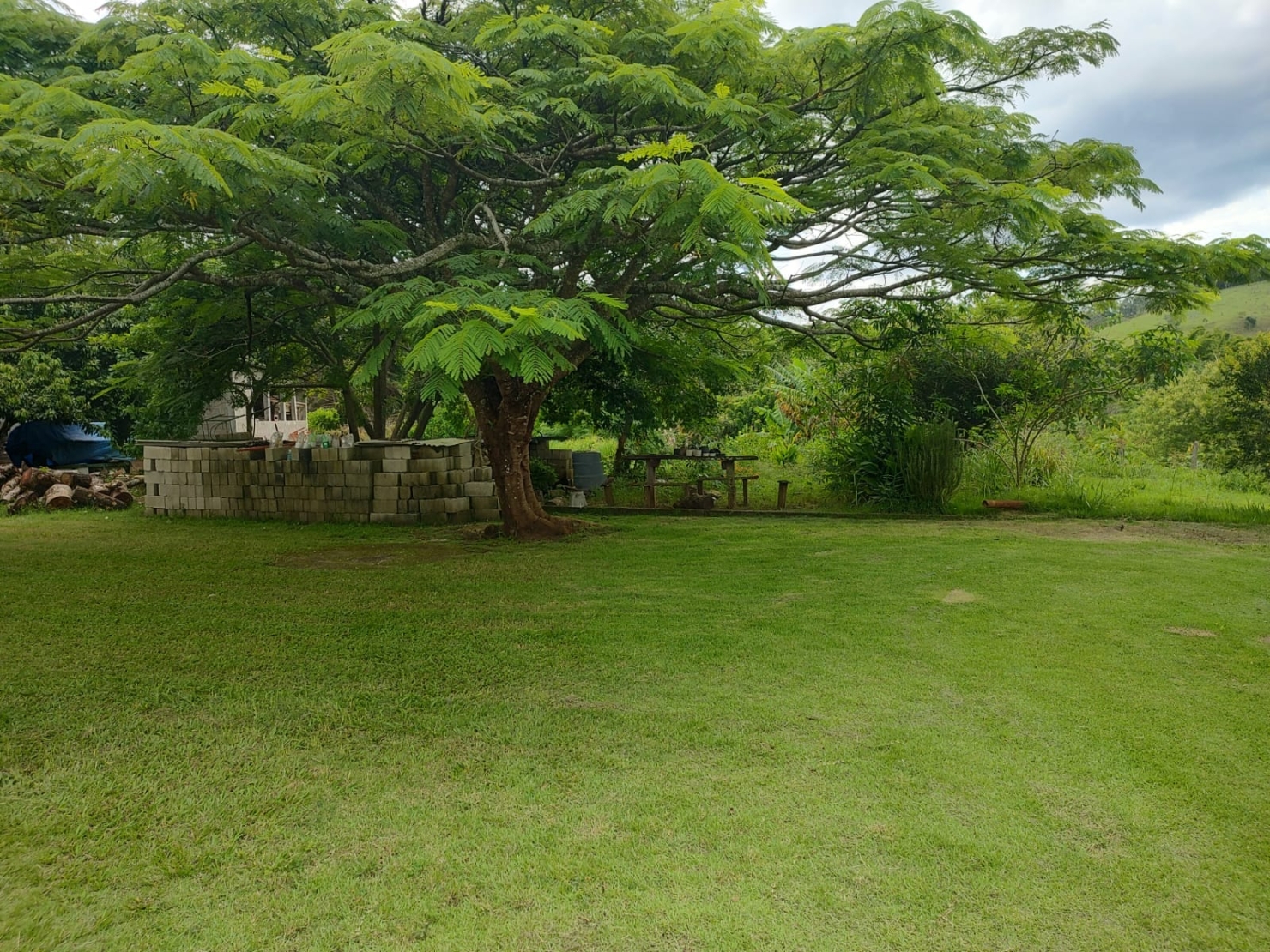 Chácara, 3 quartos, 2 hectares - Foto 38