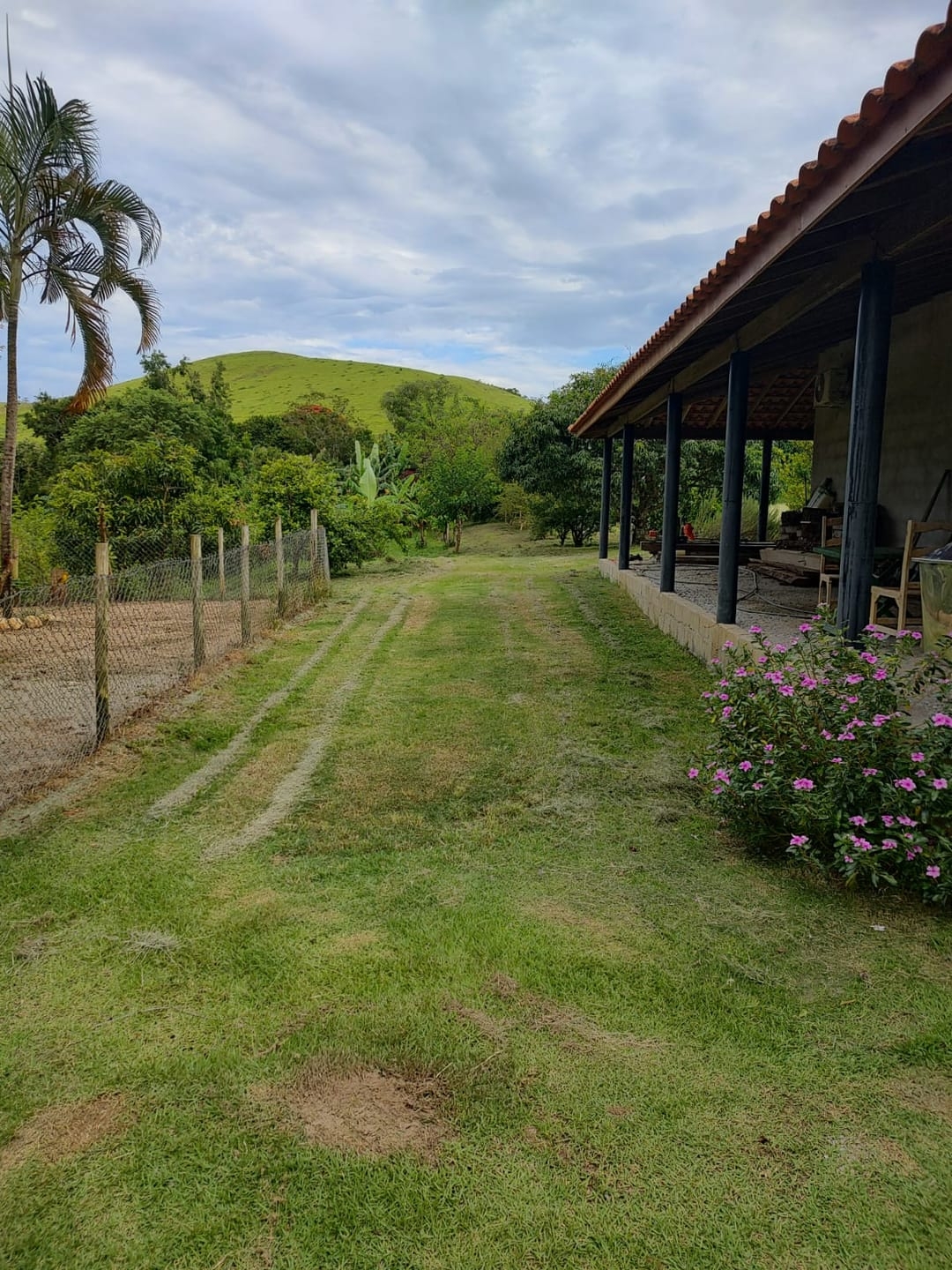 Chácara, 3 quartos, 2 hectares - Foto 39