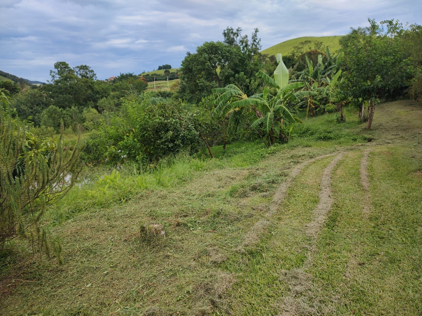 Chácara, 3 quartos, 2 hectares - Foto 40