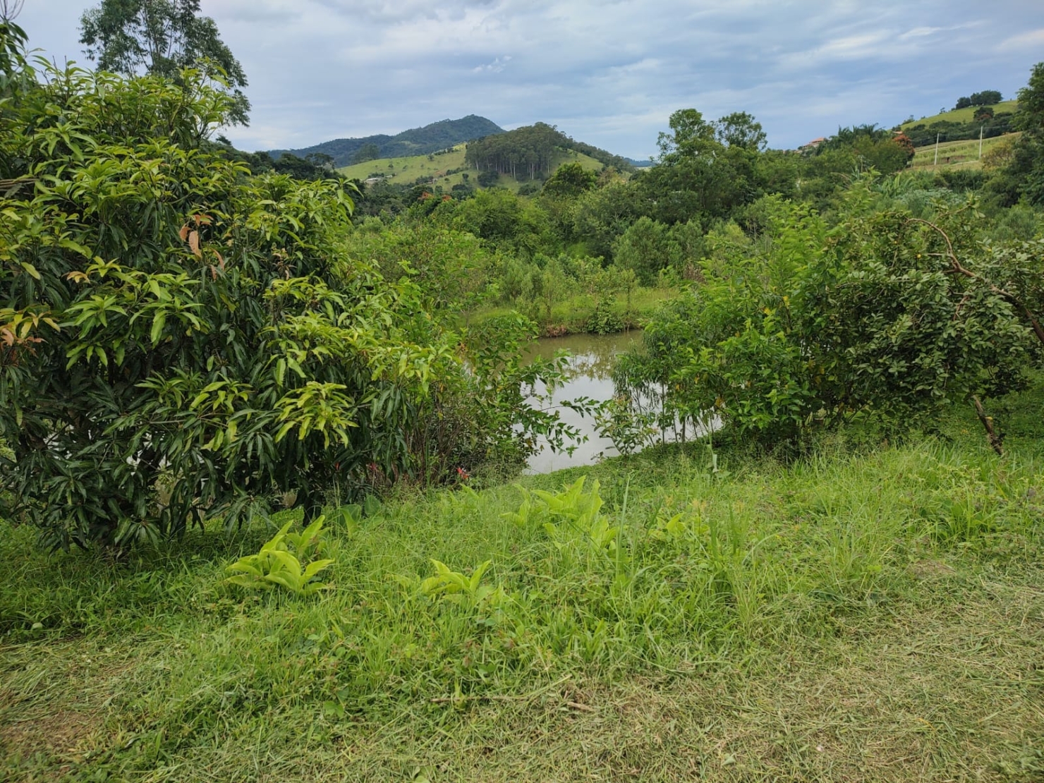 Chácara, 3 quartos, 2 hectares - Foto 41