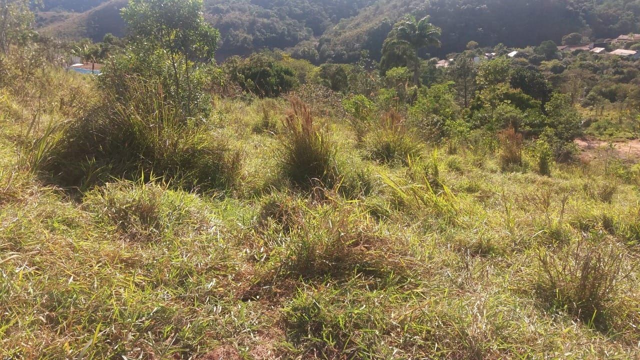 Terreno à venda, 608m² - Foto 2