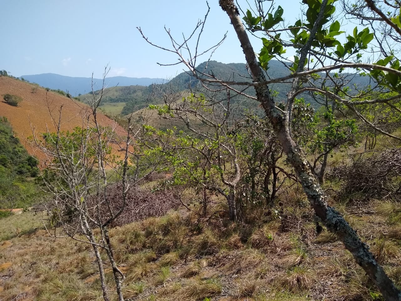 Terreno, 3 hectares - Foto 1