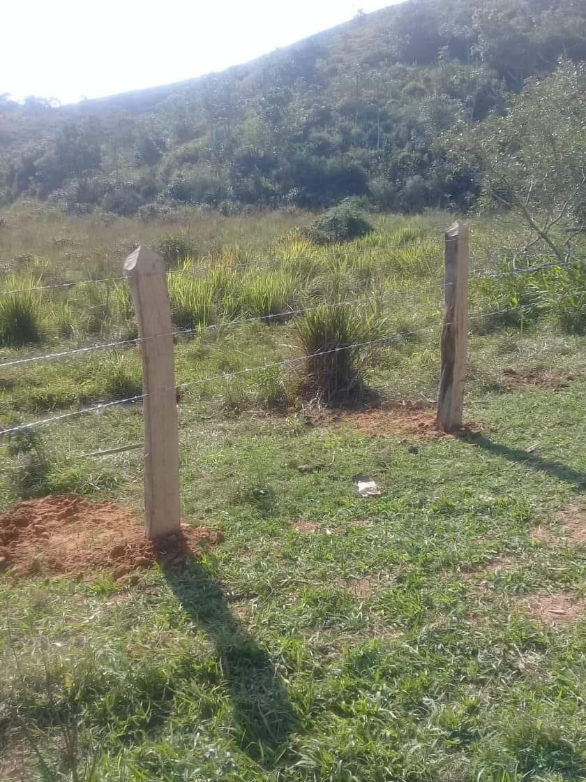 Terreno, 3 hectares - Foto 3