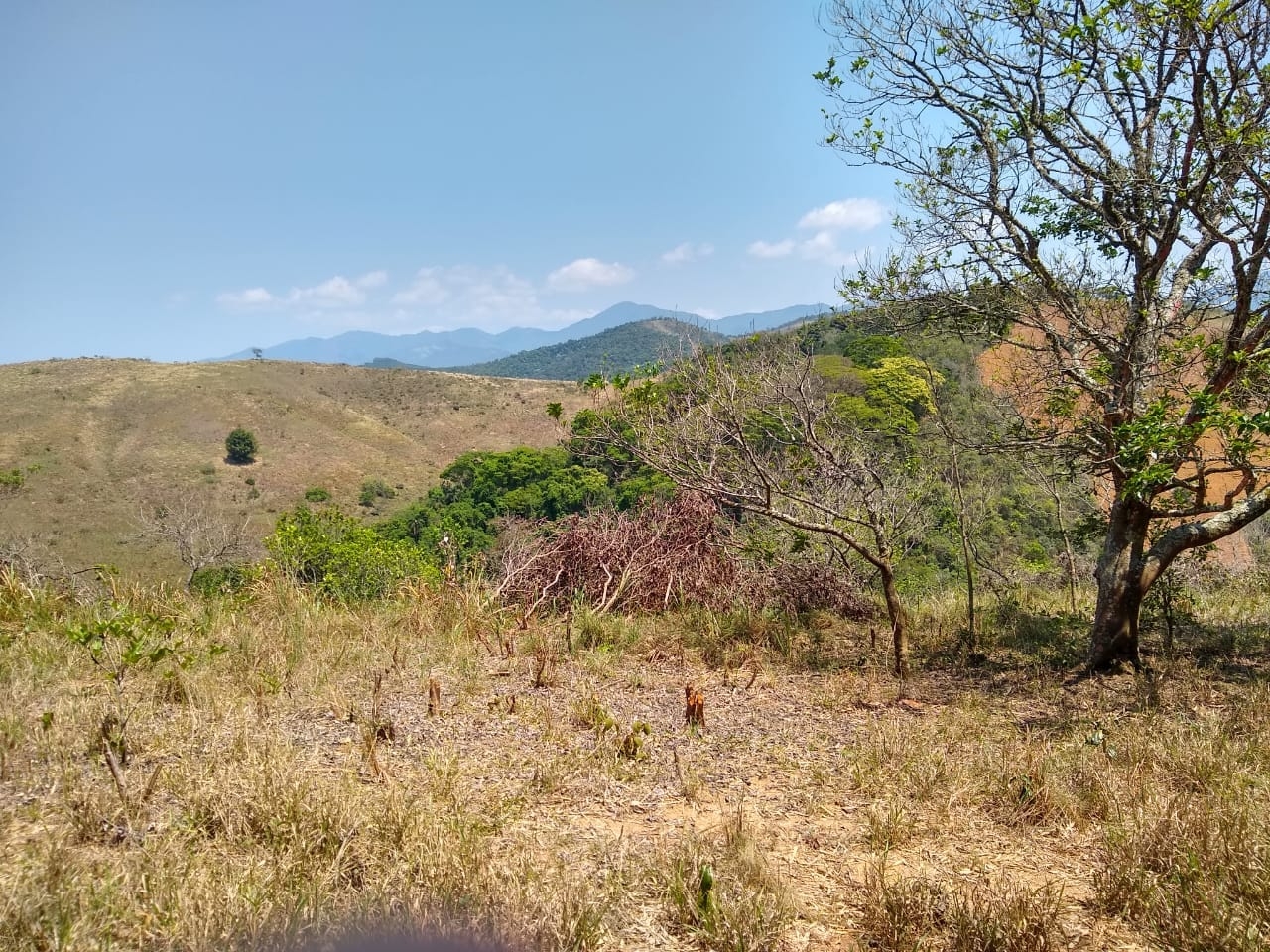 Terreno, 3 hectares - Foto 9