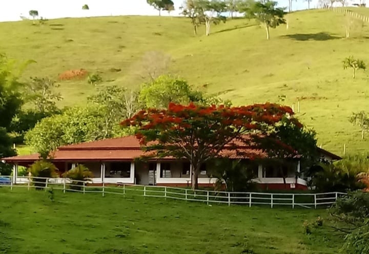 Sítio, 4 quartos, 4 hectares - Foto 8