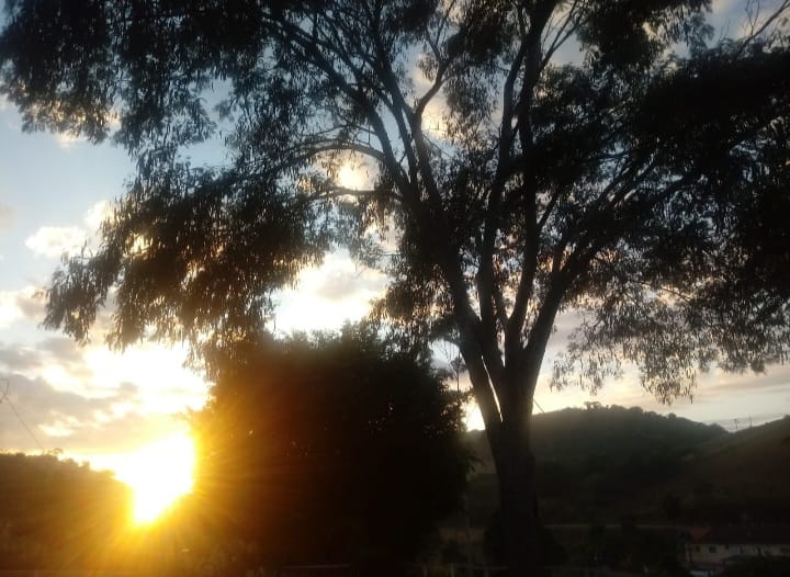 Sítio, 4 quartos, 4 hectares - Foto 9