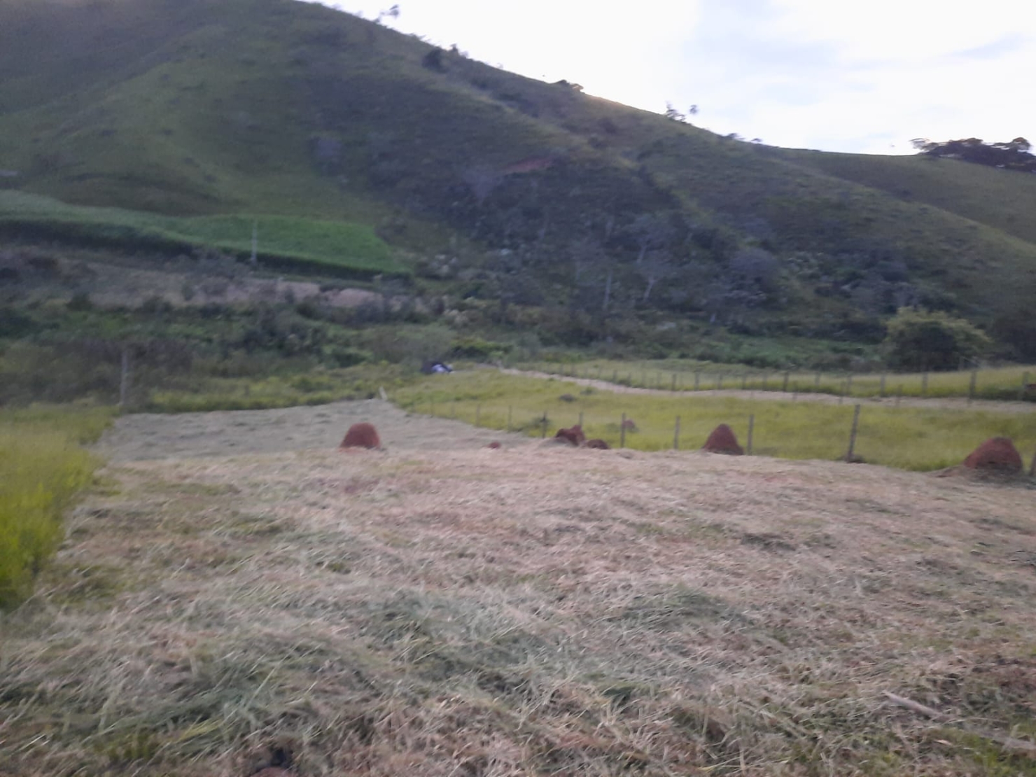 Terreno, 3000 m² - Foto 3