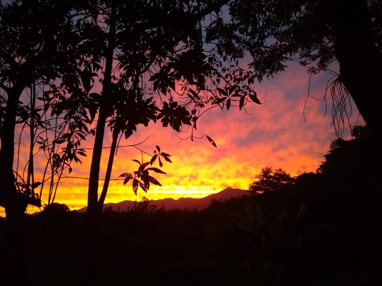 Sítio, 4 quartos, 6 hectares - Foto 6