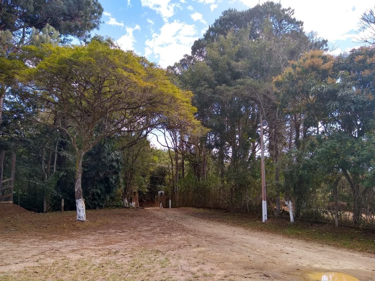 Sítio, 4 quartos, 6 hectares - Foto 15